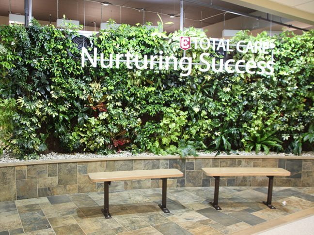 Columbia College Living Wall