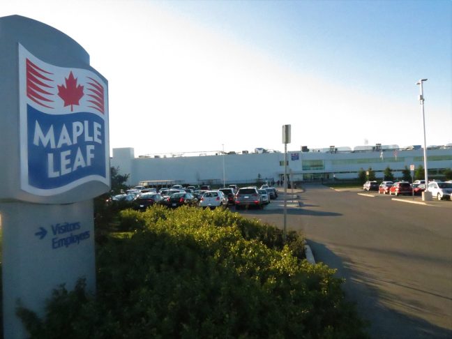 Maple Leaf Parking Systems